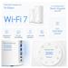 WiFi router TP-Link Deco BE85(1-pack) AXE19000, WiFi 7, 1x 10GLAN, 2x 2.5GLAN, 1x 10GLAN/SFP+, USB, 2,4/5/6GHz